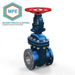 FLV Valve - API 600 Gate Valves
